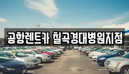 대구광역시 북구 동호동 렌트카 전문 공항렌트카 칠곡경대병원지점