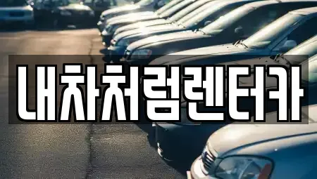 대구광역시 북구 동호동 렌트카 전문 내차처럼렌터카