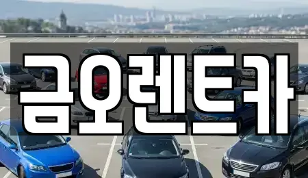 대구광역시 북구 매천동 렌트카 전문 금오렌트카