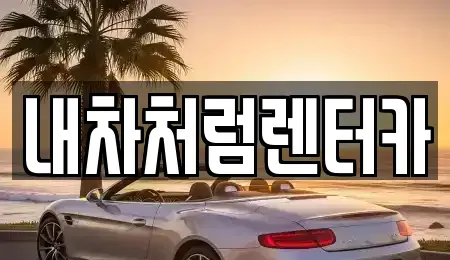 대구광역시 북구 매천동 렌트카 전문 내차처럼렌터카