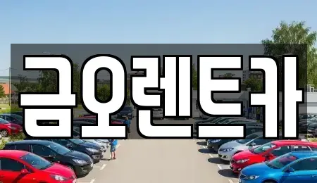 대구광역시 중구 교동 단기렌트카 전문 금오렌트카