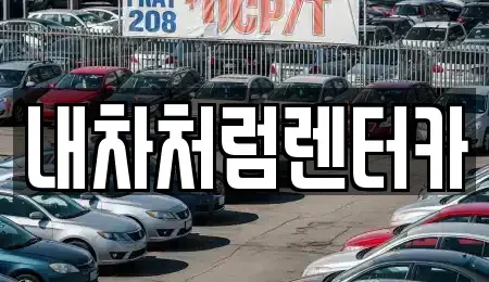 대구광역시 중구 교동 렌트카 전문 내차처럼렌터카