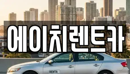 대구광역시 중구 교동 렌트카 전문 에이치렌트카
