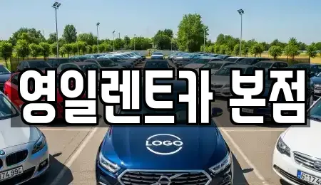 대구광역시 중구 교동 렌트카 전문 영일렌트카 본점