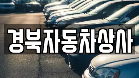 대구광역시 중구 교동 중고차 전문 경북자동차상사