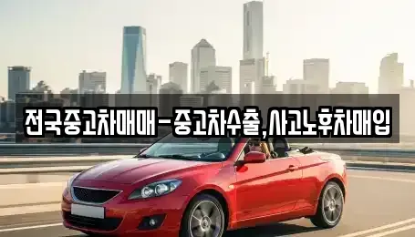 대구광역시 중구 교동 중고차 전문 전국중고차매매-중고차수출,사고노후차매입