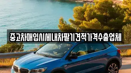 대구광역시 중구 교동 중고차매입 전문 중고차매입시세내차팔기견적가격수출업체