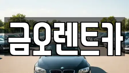 대구광역시 중구 시장북로 단기렌트카,중고차매입,중고차매매,중고차,렌트카,장기렌트카