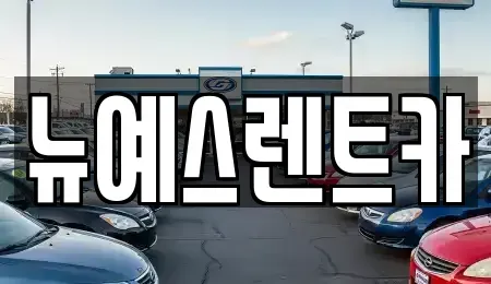 대구광역시 중구 시장북로 렌트카 전문 뉴예스렌트카