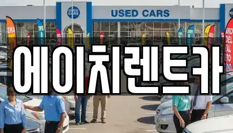 대구광역시 중구 시장북로 렌트카 전문 에이치렌트카