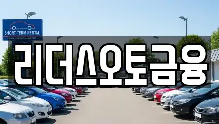 대구광역시 중구 시장북로 장기렌트카 전문 리더스오토금융