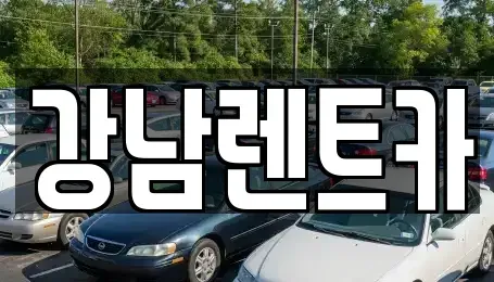 대전 동구 추동 렌트카,단기렌트카,장기렌트카,중고차,중고차매매,중고차매입
