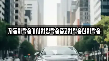 대전 서구 만년동 중고차 전문 자동차탁송기사차량탁송중고차탁송신차탁송