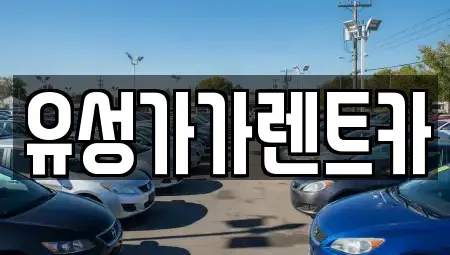 대전 유성구 송정동 렌트카 전문 유성가가렌트카