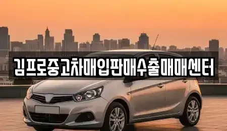 대전 유성구 송정동 중고차 전문 김프로중고차매입판매수출매매센터