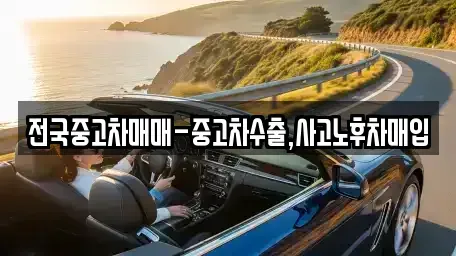대전 유성구 송정동 중고차 전문 전국중고차매매-중고차수출,사고노후차매입