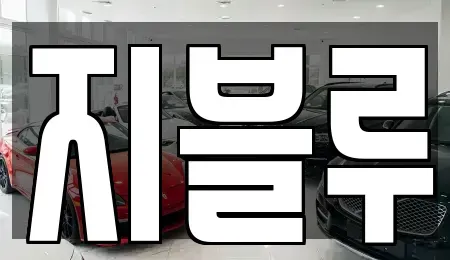 대전 유성구 송정동 중고차 전문 지블루