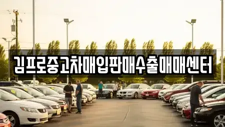 대전광역시 동구 가양동 중고차 전문 김프로중고차매입판매수출매매센터