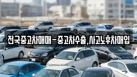 대전광역시 동구 가양동 중고차 전문 전국중고차매매-중고차수출,사고노후차매입
