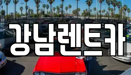 대전광역시 동구 낭월동 렌트카 전문 강남렌트카