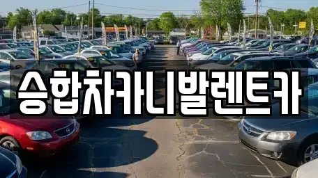 대전광역시 동구 낭월동 렌트카 전문 승합차카니발렌트카