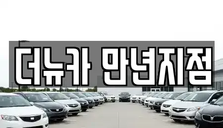 대전광역시 유성구 도룡동 단기렌트카 전문 더뉴카 만년지점