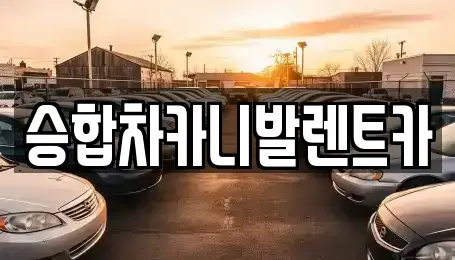 대전광역시 유성구 도룡동 렌트카,단기렌트카,장기렌트카,중고차,중고차매매,중고차매입