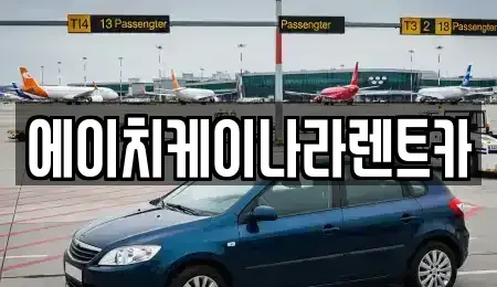 대전광역시 유성구 도룡동 렌트카 전문 에이치케이나라렌트카