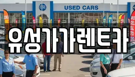 대전광역시 유성구 도룡동 렌트카 전문 유성가가렌트카
