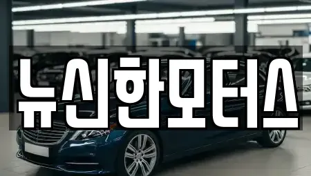 대전광역시 유성구 도룡동 중고차 전문 뉴신한모터스