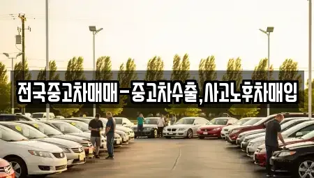 대전광역시 유성구 도룡동 중고차매입 전문 전국중고차매매-중고차수출,사고노후차매입