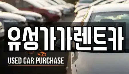 대전광역시 유성구 반석동 렌트카 전문 유성가가렌트카