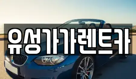 대전광역시 유성구 신성동 렌트카 전문 유성가가렌트카