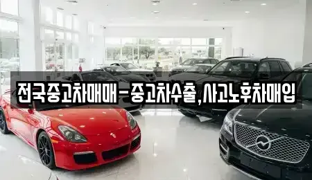 대전광역시 유성구 신성동 중고차 전문 전국중고차매매-중고차수출,사고노후차매입