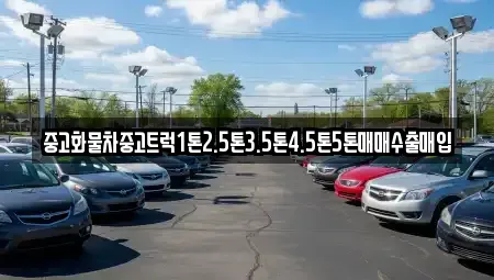 대전광역시 유성구 신성동 중고차매입 전문 중고화물차중고트럭1톤2.5톤3.5톤4.5톤5톤매매수출매입