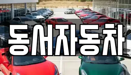 부산 강서구 천성동 중고차매매 전문 동서자동차