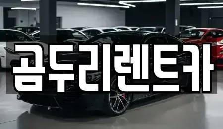 부산 금정구 부곡동 렌트카 전문 곰두리렌트카