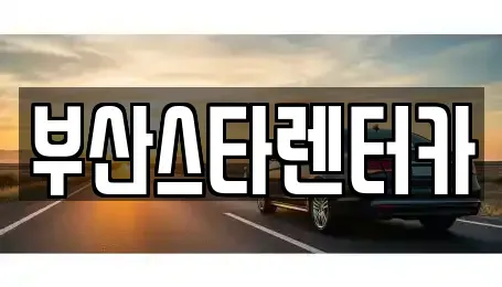 부산 금정구 선동 렌트카 전문 부산스타렌터카