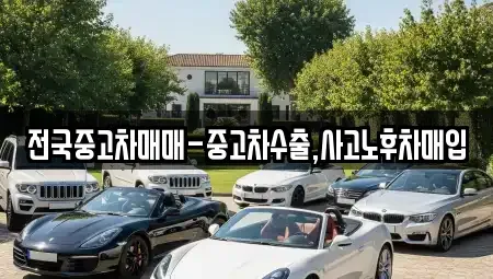 부산 금정구 선동 중고차 전문 전국중고차매매-중고차수출,사고노후차매입