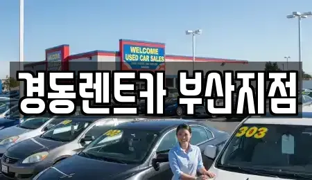 부산 동래구 안락동 단기렌트카 전문 경동렌트카 부산지점