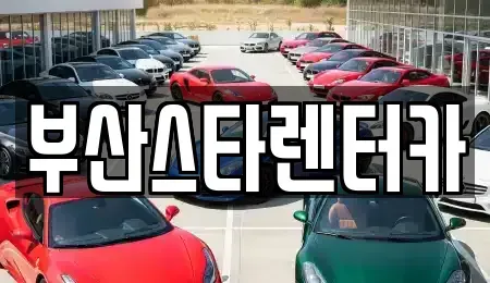 부산 동래구 안락동 렌트카 전문 부산스타렌터카