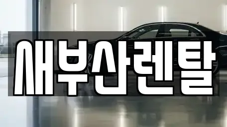 부산 동래구 안락동 렌트카 전문 새부산렌탈