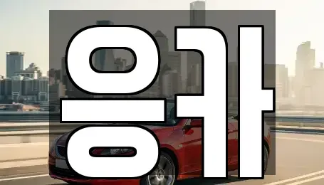 부산 동래구 안락동 렌트카 전문 응카