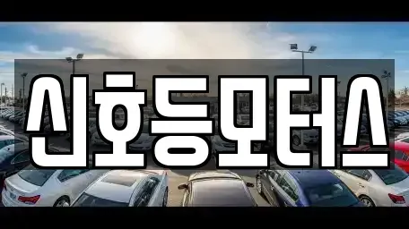부산 동래구 안락동 중고차매매 전문 신호등모터스