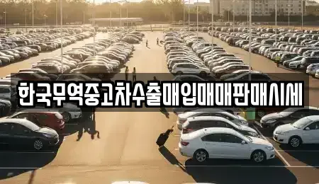 부산 동래구 안락동 중고차매입 전문 한국무역중고차수출매입매매판매시세