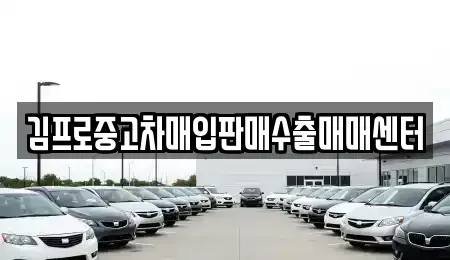 부산 부산진구 범천동 중고차매입 전문 김프로중고차매입판매수출매매센터