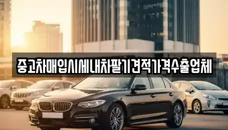 부산 부산진구 범천동 중고차매입 전문 중고차매입시세내차팔기견적가격수출업체