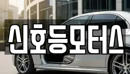 부산 수영구 남천동 중고차매매 전문 신호등모터스