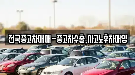부산 수영구 남천동 중고차매입 전문 전국중고차매매-중고차수출,사고노후차매입