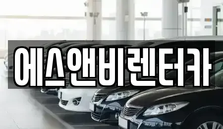 부산 수영구 민락동 렌트카 전문 에스앤비렌터카